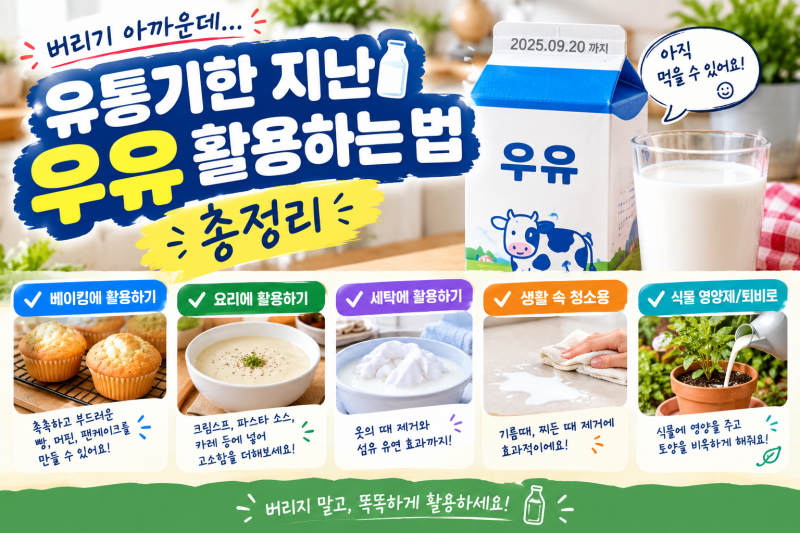 유통기한 지난 우유 활용하는 법 총정리