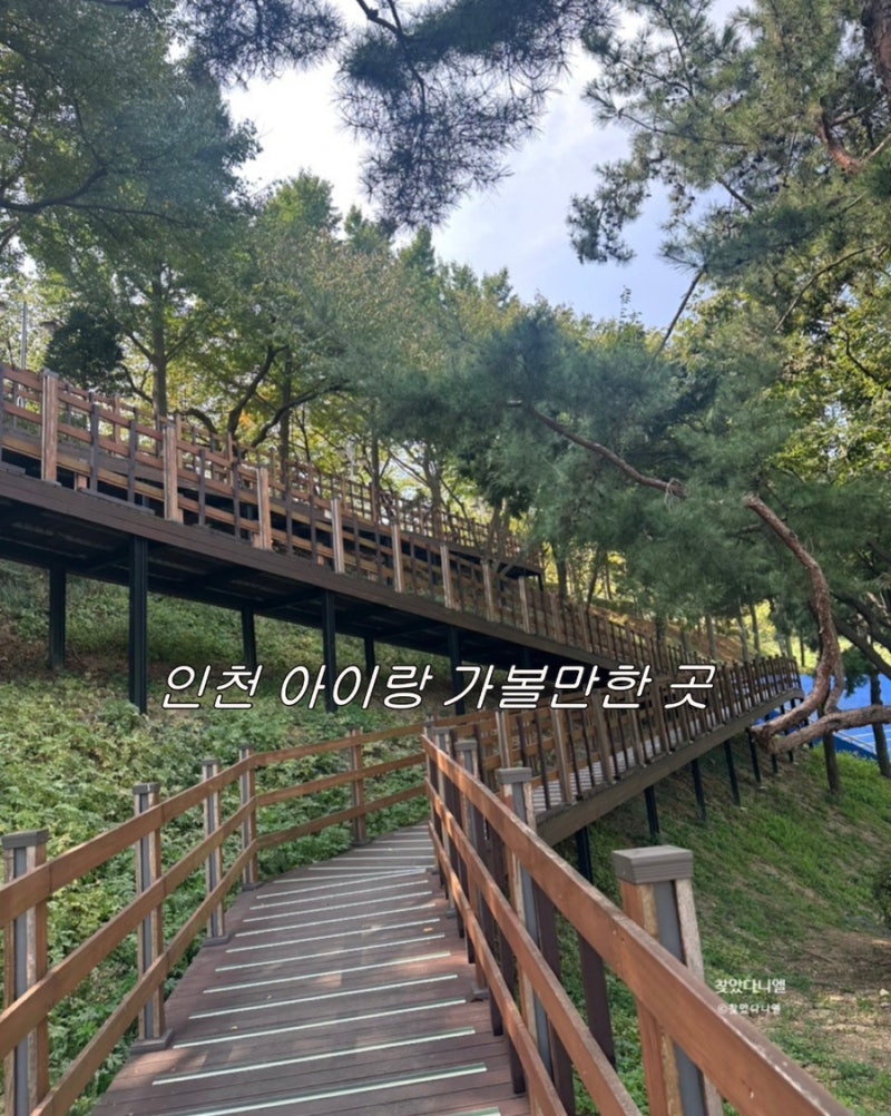 Places to Visit with Kids in Incheon: Free Playground Experience in Seo-gu
