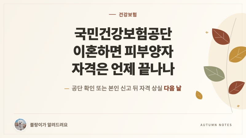 국민건강보험공단 이혼하면 피부양자 자격은 언제 끝나나