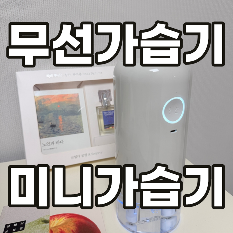 미니가습기 추천 사무실 집에서 사용가능한 소형가습기 추천 알리사 숲속안개