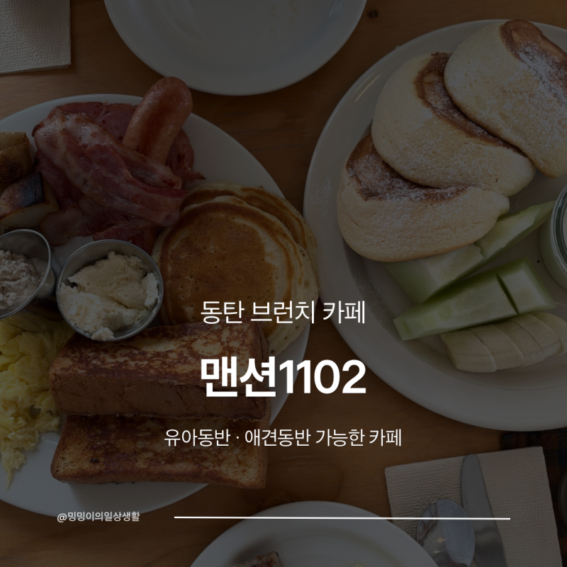 동탄 카페 맨션1102 | 애견동반 가능 브런치 카페 동탄맛집