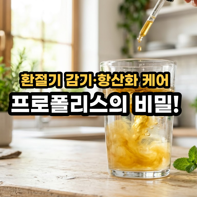 프로폴리스 효능과 부작용! 항산화·감기 예방 효과부터 그린 프로폴리스·스프레이·캡슐 섭....