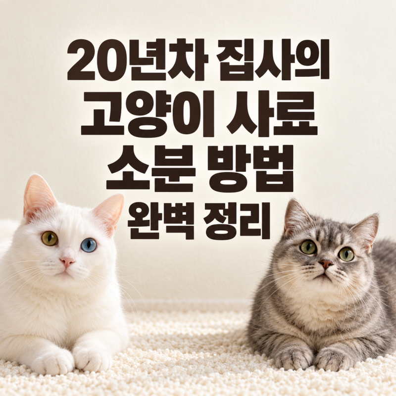 고양이 사료 소분 방법, 20년차 다묘집사의 보관 루틴
