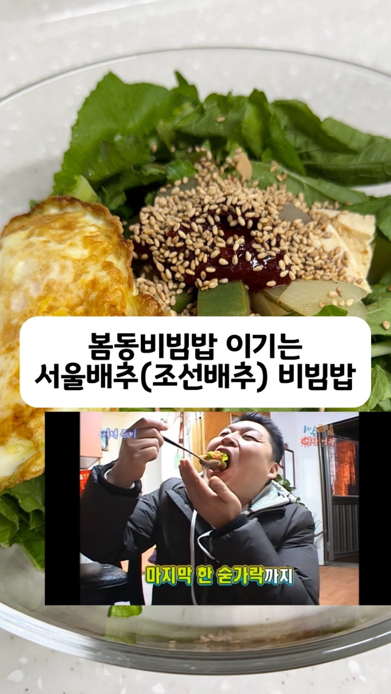 カン・ホドン春白菜ビビンバを見て思い出した、思い出のソウル白菜ビビンバ