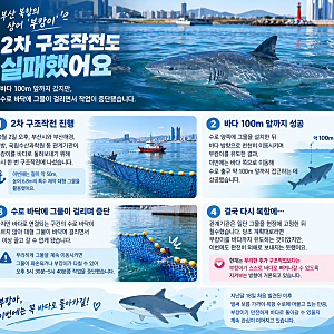 부산 북항 상어 부캉이 2차 구조작전도 실패｜바다 100m 앞에서 멈췄어요