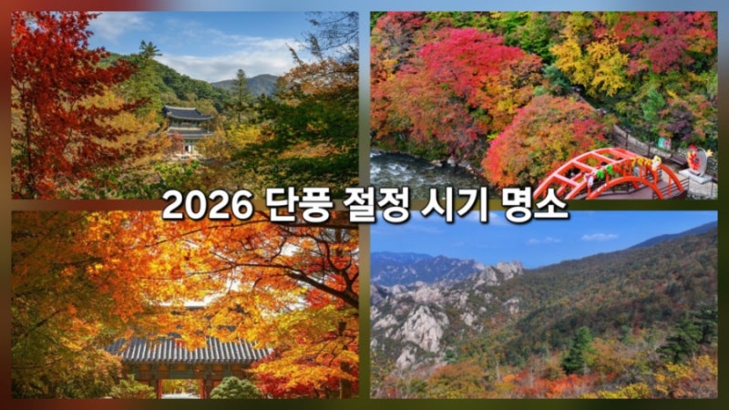 2026 산림청 단풍 명소 절정 예측 지도 ! 설악산 오대산 북한산 내장산 계룡산 속리산 지리산 ....