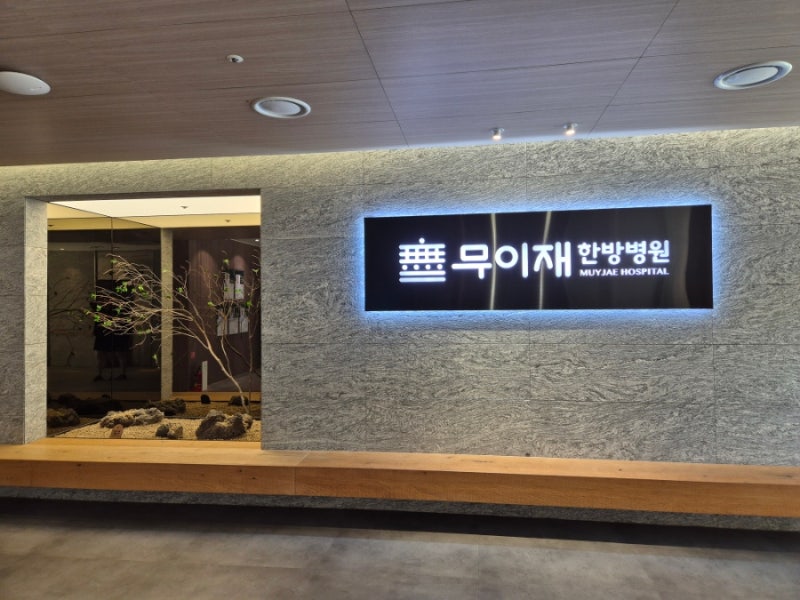 삼성서울병원 근처 요양병원추천) 항암후 요양병원추천하는 무이재 한방병원