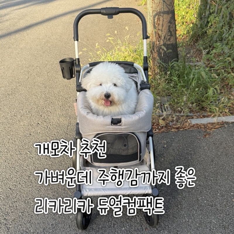 개모차 추천 가벼운데 주행감까지 좋은 리카리카 강아지유모차 애견유모차 후기