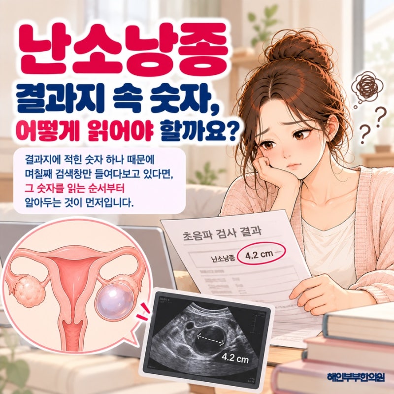 검진지 속 3cm와 5cm, 수원 난소낭종 크기가 말하는 것