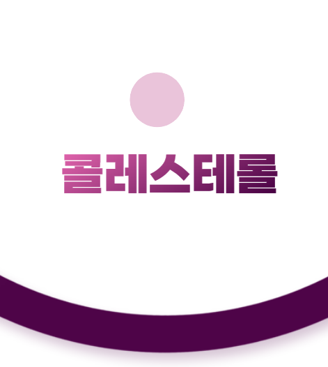 콜레스테롤 수치, 30·40대 직장인이 꼭 알아야 할 결과표 읽는 법과 관리법 (2026 최신 기준)