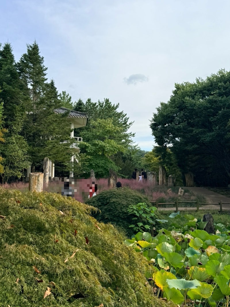 진주 아기랑 가볼만한곳 경상남도수목원｜전동관람차 꼭 타세요! 가을 나들이 추천