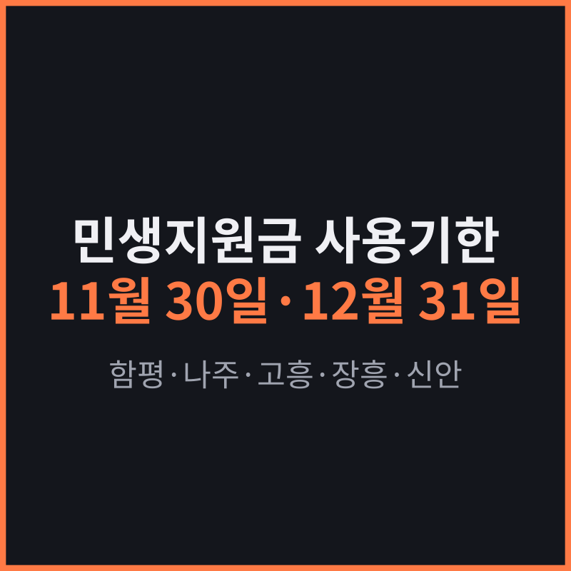 전남광주 민생지원금 사용처와 사용기한, 시군별 사용제한 정리