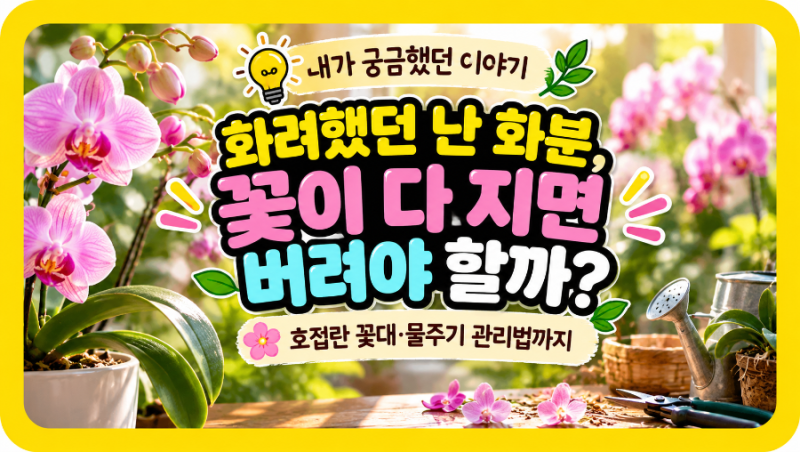화려했던 난 화분, 꽃이 다 지면 버려야 할까? 호접란 꽃말부터 꽃대·물주기 관리법까지