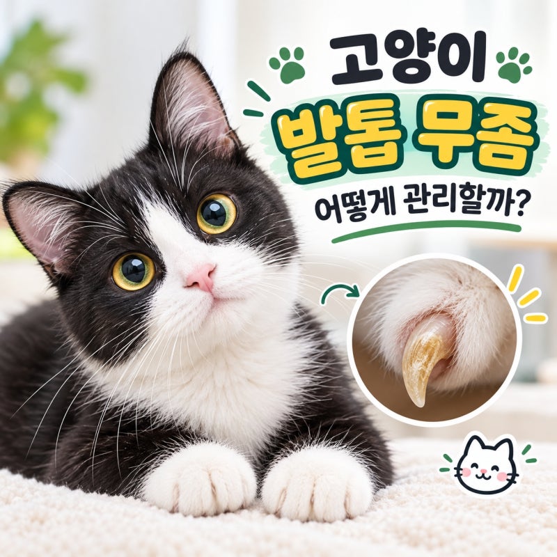 고양이 발톱이 갈라지고 변색됐다면? 고양이 발톱 무좀의 원인과 치료법