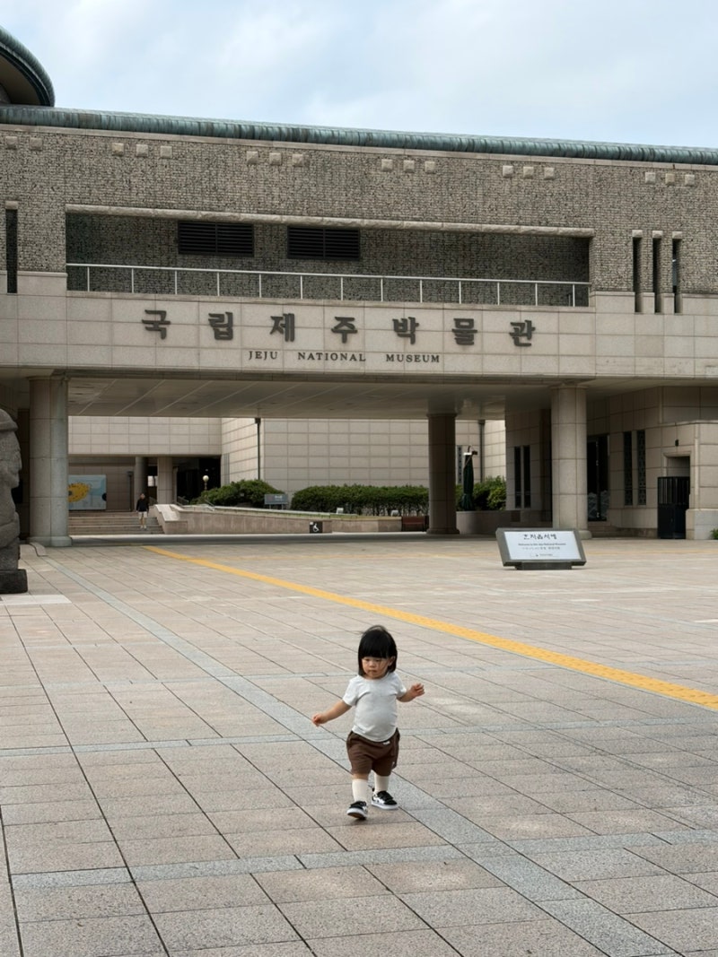[제주시/건입동] 제주공항 근처 아이랑 가볼 만한 곳 국립 제주 박물관 무료입장 어린이 박물....
