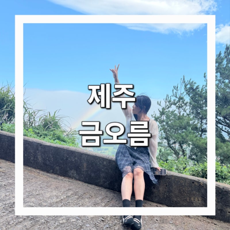 제주 한림읍 걷기좋은곳 비오면 선명한 무지개가 뜨는 제주 포토 스팟[금오름]