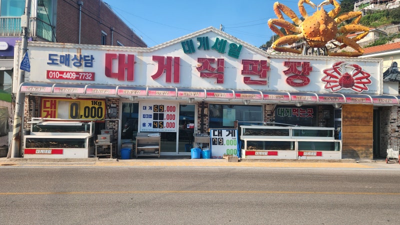 삼척 여행 필수 코스! 삼척 대게직판장 완벽 정리 (영업시간, 위치, 특징)