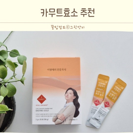 카무트효소 이영애 건강미식 곡물효소 추천 솔직 후기와 특징 정리