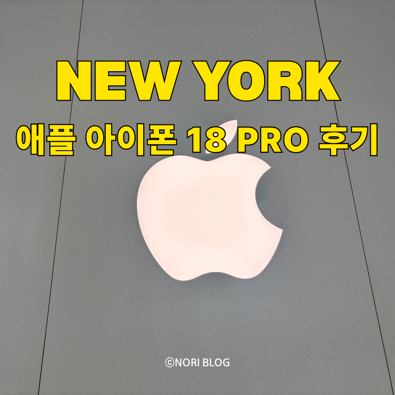 아이폰 18프로 비싸지만 선택한 이유? 18프로 4종 색상비교