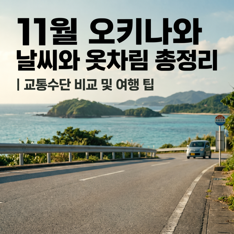11월 오키나와 날씨와 옷차림 총정리｜교통수단 비교 및 여행 팁