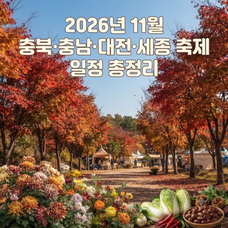 2026년 11월 충북·충남·대전·세종 축제 일정 총정리｜가볼 만한 곳 10곳