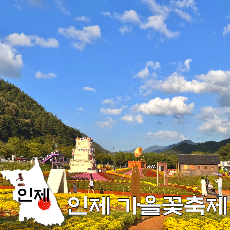 10월 강원도 축제, 2026 인제 가을꽃축제 지금가면 딱 예쁜 코스!