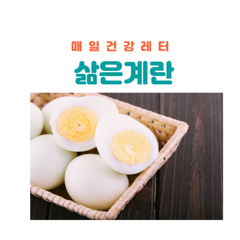 삶은계란 단백질 함량 효능 보관법 먹는법