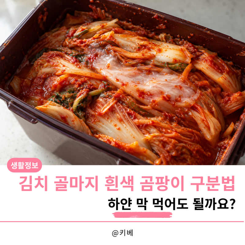 김치 골마지 흰색 곰팡이 구분법, 하얀 막 먹어도 될까요?