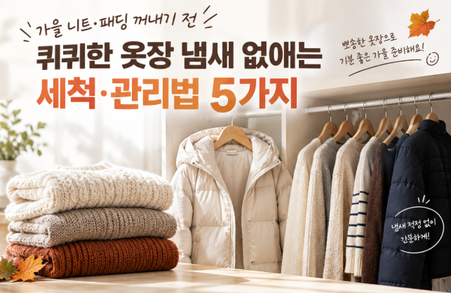 가을 니트·패딩 꺼내기 전 퀴퀴한 옷장 냄새 없애는 세척·관리법 5가지