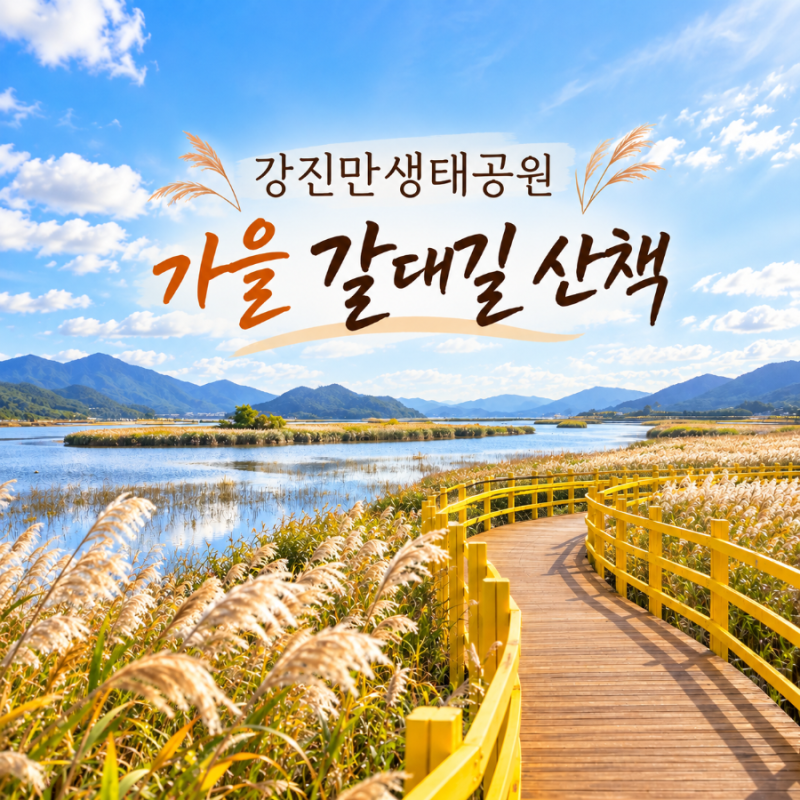 강진만생태공원 갈대축제 2026 일정, 짱뚱어 만난 가을 산책 후기