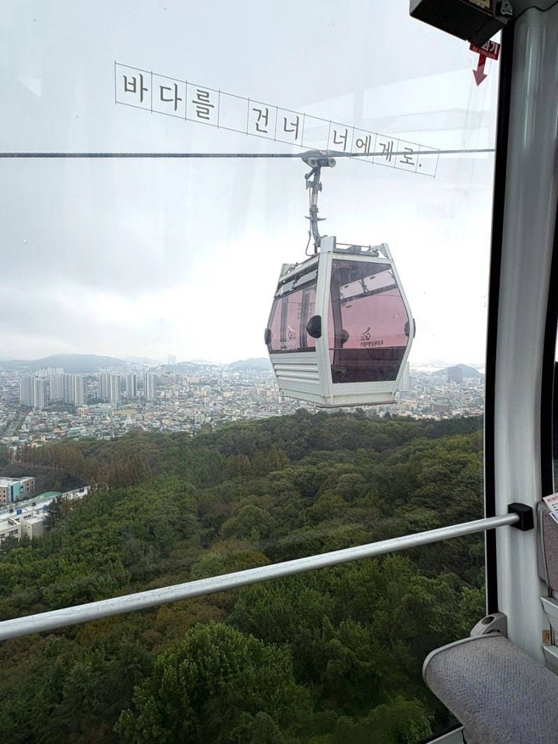 光州全羅南道旅行 麗水海上ケーブルカー クリスタルキャビン搭乗レビュー | 麗水のおすすめ観光スポット