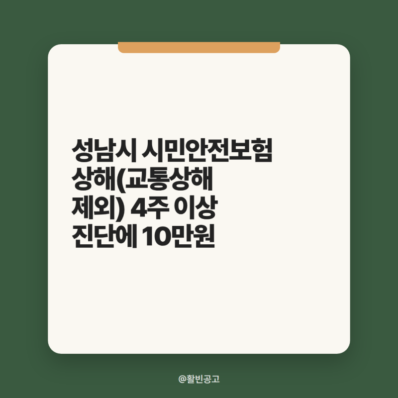 성남시 시민안전보험 상해(교통상해 제외) 4주 이상 진단에 10만원