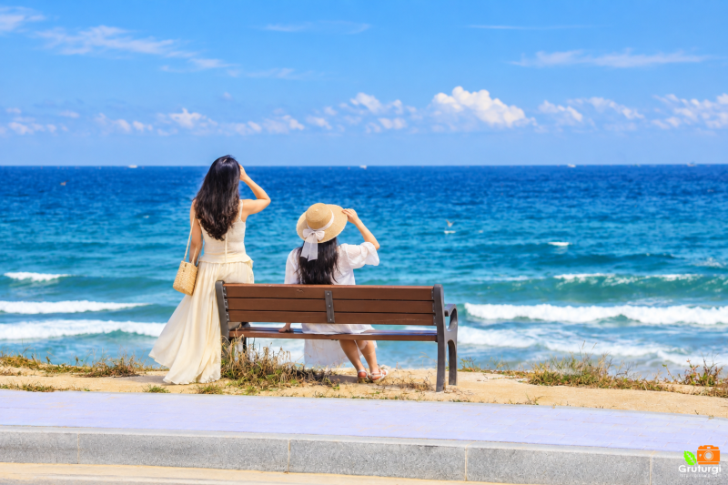 Jumunjin Attractions in Gangneung: BTS Bus Stop and Other Jumunjin Travel Courses