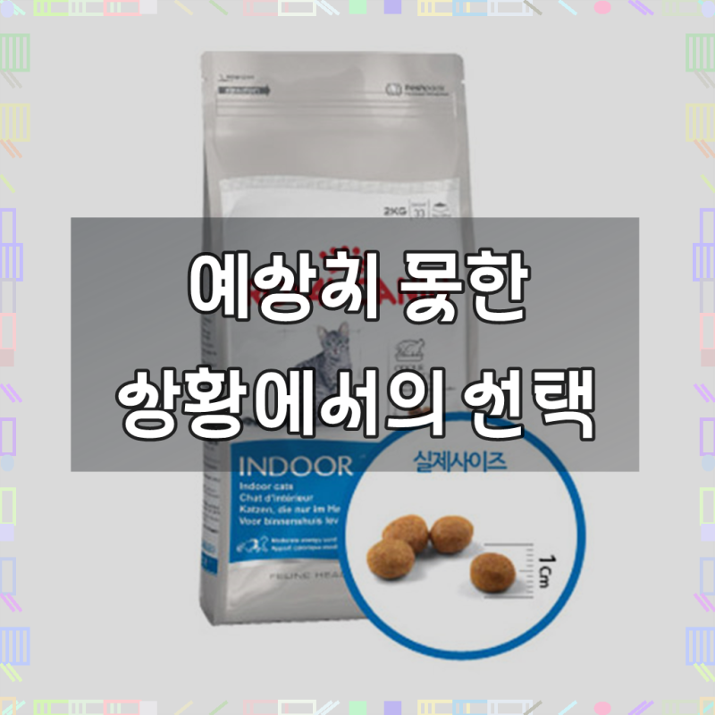 로얄캐닌 어덜트 인도어 고양이 사료, 닭, 2kg, 1개