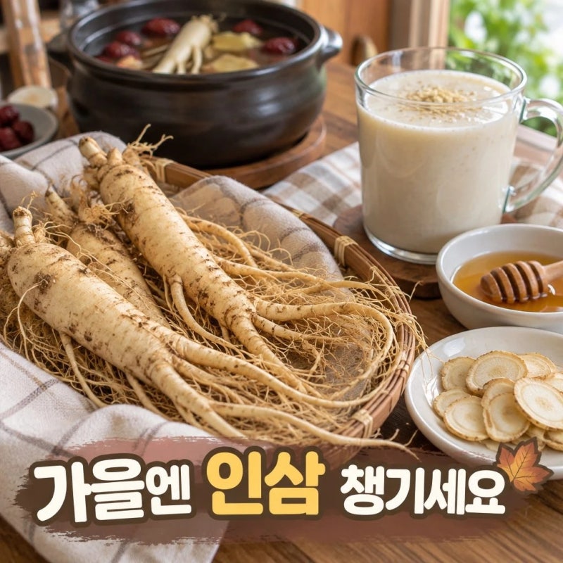 가을 인삼 먹는 법, 수삼 손질부터 보관까지