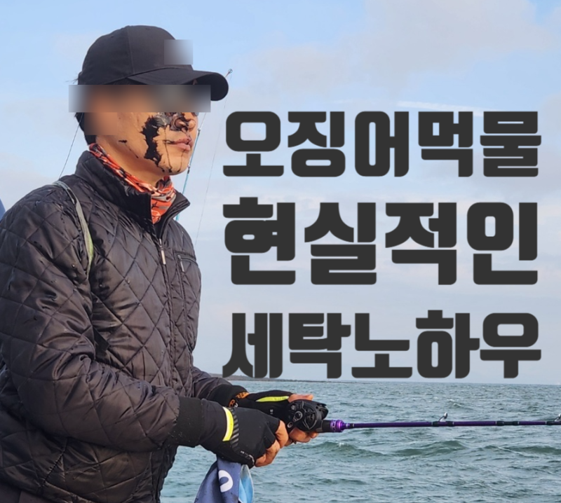 오징어 시즌! 가장 현실적인 제일 초간단 먹물 세탁하는 노하우 (갑오징어 쭈꾸미 무늬오징....