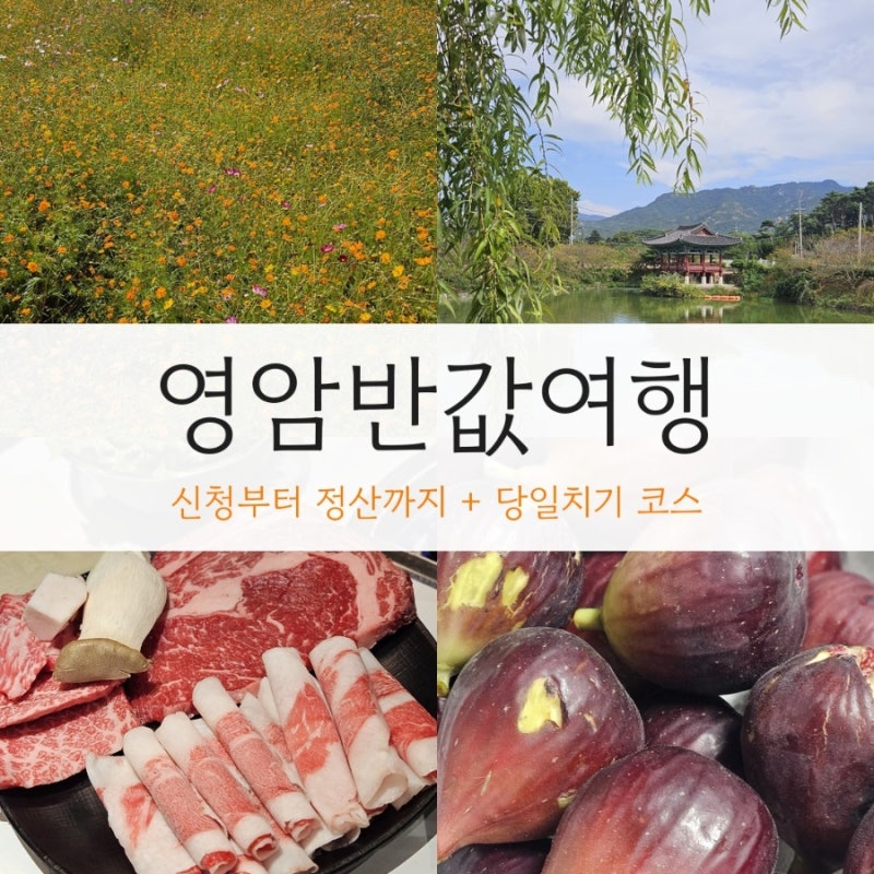 영암반값여행 후기｜신청부터 정산까지 + 당일치기 코스 총정리