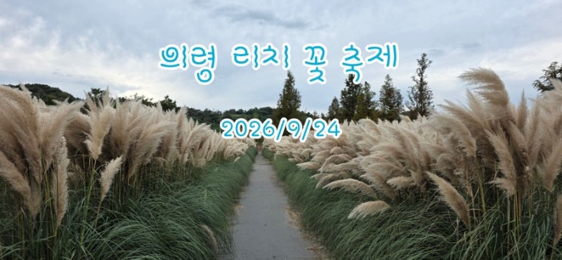 2026 의령 호국의병의 숲 친수공원 리치 꽃 축제