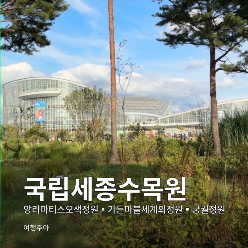세종 국립세종수목원 전기버스 앙리마티스오색정원 가든마블세계의정원 궁궐정원 주차장 ....
