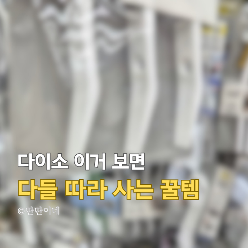 다이소 '이거' 보고 다들 어디서 샀냐고 물어봐요