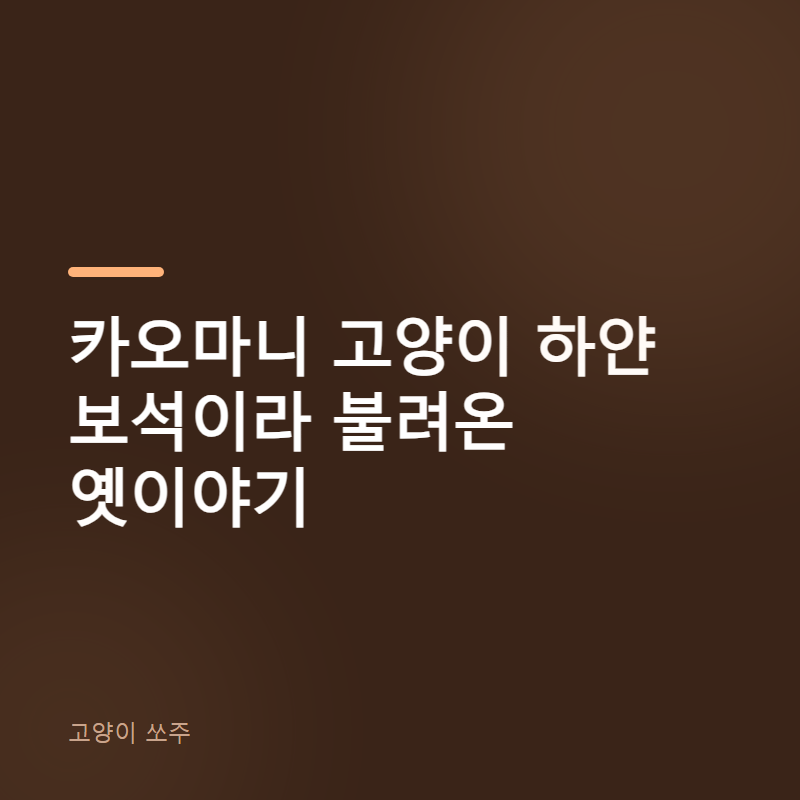 카오마니 고양이 하얀 보석이라 불려온 옛이야기
