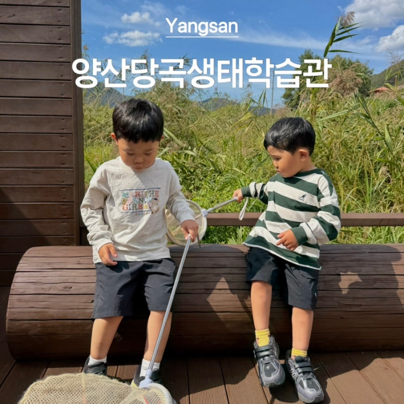 Yangsan Danggok Ecological Learning Center: Free Indoor Activities for Kids Near Busan, Gyeongnam