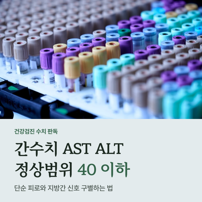 간수치 AST ALT 정상범위와 40 넘는 이유, 단순 피로와 지방간 구별 기준
