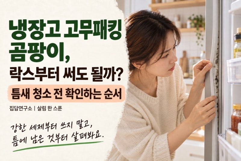 냉장고 고무패킹 곰팡이, 락스부터 써도 될까? 틈새 청소 전 확인 순서