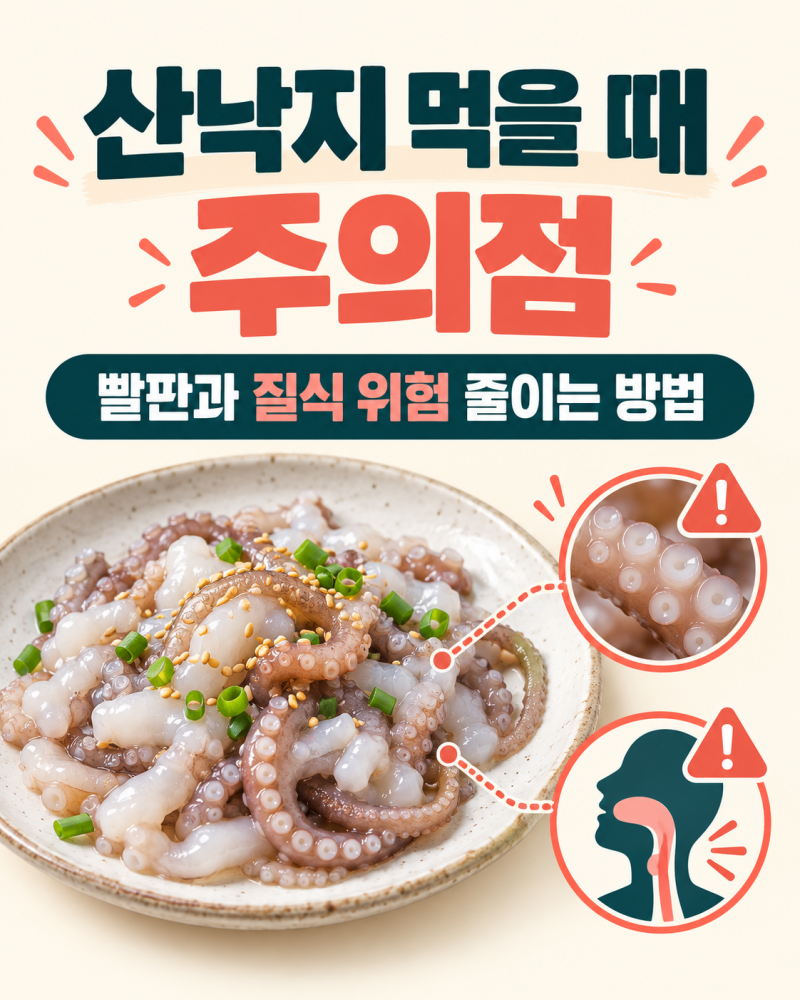산낙지 먹을 때 주의점, 빨판과 질식 위험 줄이는 방법