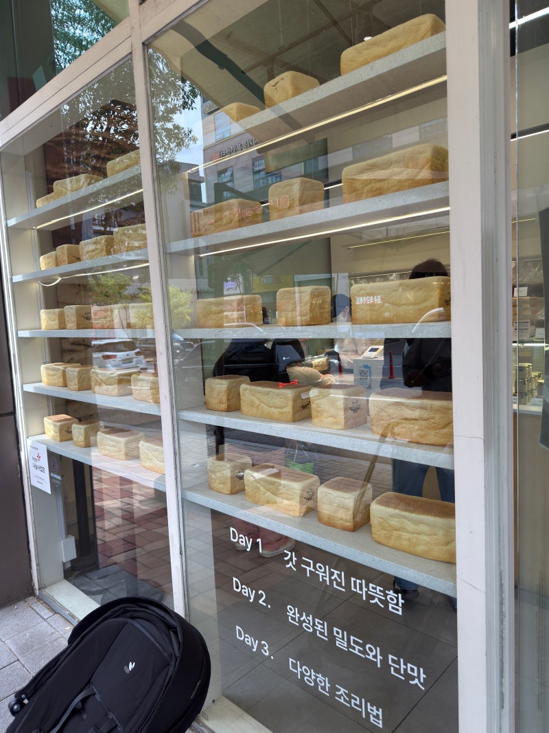 원주 화이트리에｜식빵 맛집 직접 방문 후기