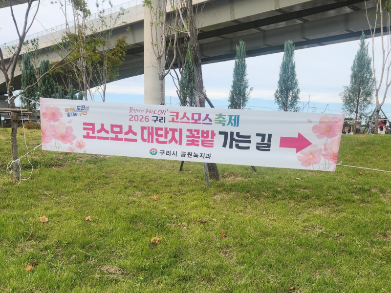 2026 구리 코스모스 축제 정보 주차명당 꿀팁(10월3일에 다녀왔어요)