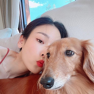 서현진 26억 전세금 떼일 위기? 청담동 고급빌라 집주인 결국 파산 충격