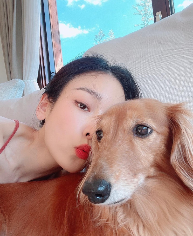 서현진 26억 전세금 떼일 위기? 청담동 고급빌라 집주인 결국 파산 충격