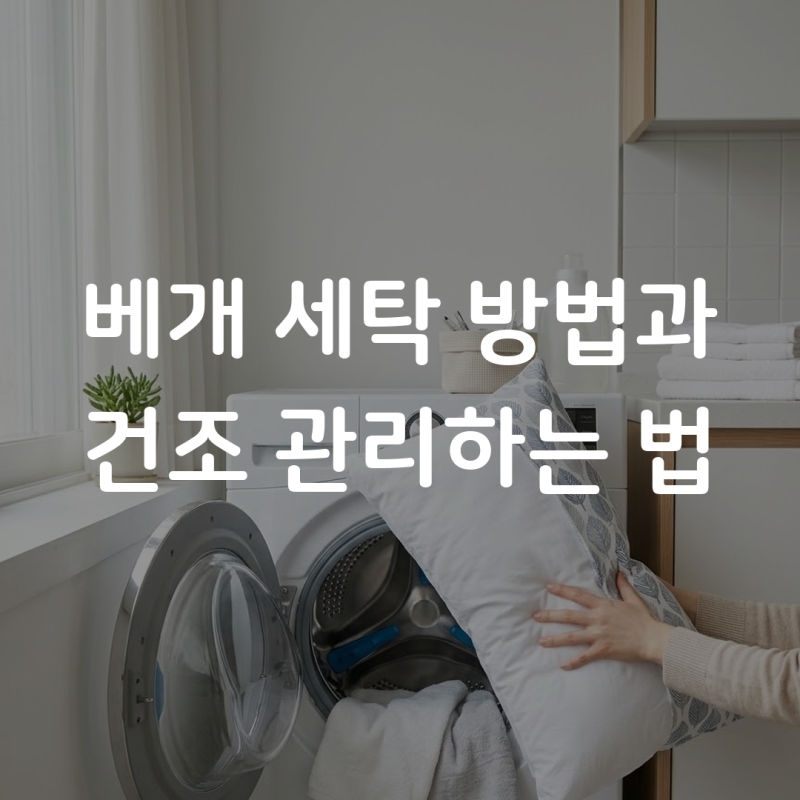 베개 세탁 법과 건조 관리하는 법